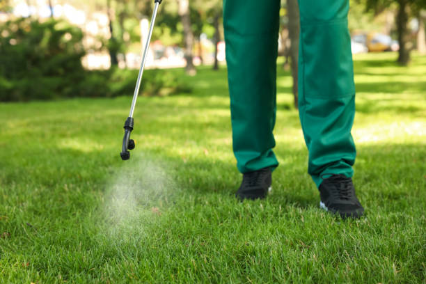 Best Pest Control Treatment  in Brush Prairie, WA