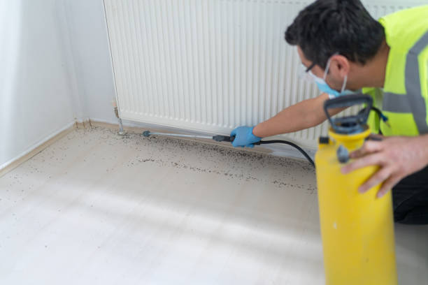 Professional Pest Control in Brush Prairie, WA